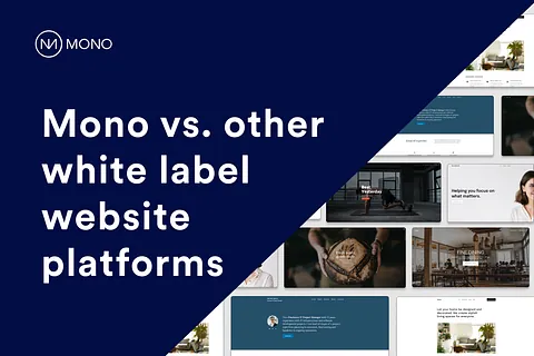 Featured image of the blog post: mono vs other website platforms